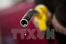 Ảnh minh họa. (Nguồn: AFP/TTXVN)