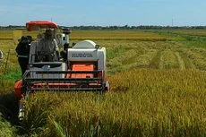 Trong số hơn 10 triệu lao động nông nghiệp thì có tới 97% không được đào tạo nghề. Ảnh: Ngọc Minh