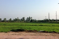 Nhiều dự án đất nền phía Tây chậm tiến độ. (Ảnh: D.Anh)