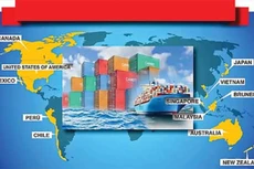 TPP – Sân chơi sòng phẳng, bình đẳng: Cơ hội song hành thách thức