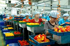 Tình trạng ngược nhau về cách thức tiếp cận, chồng chéo về nội dung, thiếu tính nhất quán,... trong các quy định về đầu tư kinh doanh đang “hành” doanh nghiệp. Ảnh: Lê Tiên