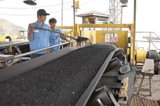 VIMICO quyết tâm nâng cao hiệu quả kinh doanh