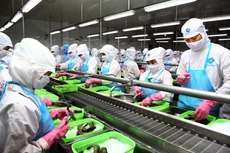 Năng suất lao động của doanh nghiệp tư nhân hiện đang rất thấp. Ảnh: Lê Tiên