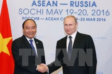 Thủ tướng Nguyễn Xuân Phúc hội kiến Tổng thống Liên bang Nga Vladimir Putin. (Ảnh: Thống Nhất/TTXVN)