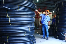 Doanh nghiệp tư nhân đã có những bước tiến mạnh mẽ trong thời gian qua. Ảnh: Lê Tiên