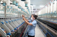 Ảnh chỉ có tính minh họa. (Ảnh: Hiền Hạnh/TTXVN)