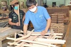Cổ phiếu tăng trần, Gỗ Trường Thành có “sang trang”?