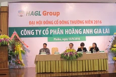 Tại ĐHĐCĐ, lãnh đạo HAGL cho biết sẽ bán một số tài sản “được giá” để tái cơ cấu nợ vay