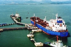 Tổng giám đốc Vipco có dấu hiệu thiếu trách nhiệm gây hậu quả nghiêm trọng