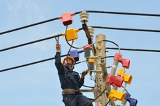 Được bảo lãnh, vốn vay ưu đãi nhưng kinh doanh của EVN không đạt đượckỳ vọng.