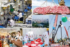 Chính phủ cần tiếp tục tạo môi trường kinh doanh cạnh tranh bình đẳng thuận lợi cho nhà đầu tư