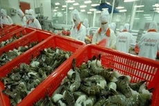 Mỹ chính thức tăng thuế chống bán phá giá tôm Việt