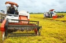 Ảnh minh họa. Nguồn Internet