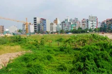 Ảnh minh họa. Nguồn Internet