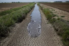 Ảnh minh họa. (Nguồn: cironline.org)