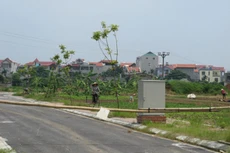 Ảnh minh hoạ. Nguồn: Internet