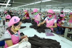 Hàn Quốc nhập khẩu từ Việt Nam các mặt hàng chủ yếu là may mặc và da giày, sản phẩm điện... Ảnh: LTT