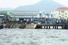 Ảnh minh họa. Nguồn Internet