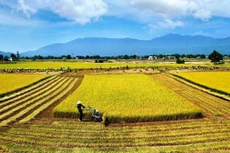 Ảnh minh họa. Nguồn Internet