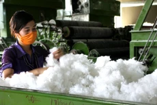 Khảo sát của VCCI cho thấy, hầu hết DN phải trả các khoản chi phí không chính thức ở những thủ tục đầu tư kinh doanh thuộc những ngành nghề kinh doanh có điều kiện. Ảnh: Nhã Chi