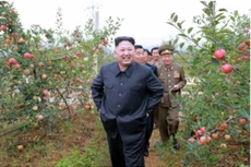 Ông Kim Jong-un đến thăm một nông trại cây ăn quả. Ảnh:Rodong Sinmun