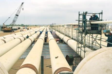 PXT: Năm 2015 lãi 30 tỷ đồng, có khả năng thoát án hủy niêm yết