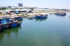 Xây tuyến luồng vào Khu bến cảng Thọ Quang (Đà Nẵng)
