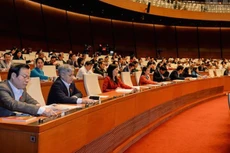 Đại biểu Quốc hội khoá 13 trong hội trường.