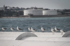 Cơ sở lọc dầu trên đảo Kharg thuộc vùng Vịnh, miền nam Iran ngày 23/2. (Nguồn: THX/TTXVN)