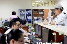 Ảnh minh họa. (Nguồn: PV/Vietnam+)