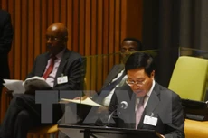 Phó Thủ tướng, Bộ trưởng Ngoại giao Phạm Bình Minh. (Ảnh: Nguyễn Hữu Hoàng/TTXVN)