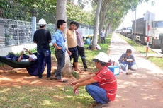 Tài xế ngồi chờ lấy phiếu để nhận thép tại huyện Tân Thành, Bà Rịa - Vũng Tàu - Ảnh: Đông Hà