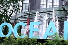 Kết quả kinh doanh của Tập đoàn Đại Dương thay đổi chóng mặt sau kiểm toán. Ảnh: NC st