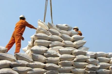 Cạnh tranh trong xuất khẩu gạo ngày càng gay gắt, không chỉ về giá xuất khẩu, mà cả chất lượng và thương hiệu. Ảnh: Đức Thanh