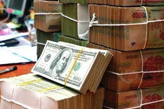 Thay vì vay ngoại tệ trong dân cư, Chính phủ đang đi bằng con đường khác và sẽ cần nhiều thời gian để kiểm chứng kết quả: kích thích chuyển đổi vốn ngoại tệ trong dân cư.