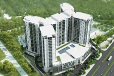 CDC dự kiến cổ tức 10%