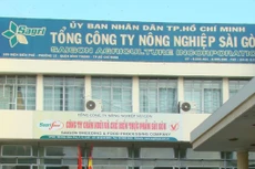 Sagri: Lợi nhuận 6 tháng tăng mạnh