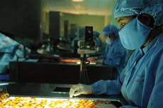 DCL đặt kế hoạch lợi nhuận sau thuế năm 2016 tăng 32%