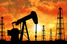 Hiện số giàn khoan dầu đang hoạt động cao hơn 20% so với trước khi giá dầu chạm mức 50 USD/thùng - Ảnh: ITBusiness.