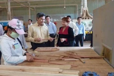 Gỗ Trường Thành lỗ 1.073 tỷ đồng trong nửa đầu năm. Ảnh: TH.