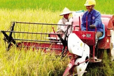 Tổng điều tra nông thôn, nông nghiệp và thủy sản từ 1/7