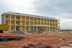 Ảnh chỉ mang tính minh họa. Nguồn Internet