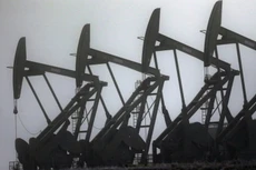 Thông tin Mỹ mở cửa thêm một giàn khoan dầu khiến thị trường lo lắng - Ảnh: Reuters.