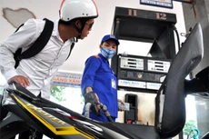 Giá xăng đang có xu hướng giảm nhẹ.