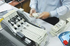 Những doanh nghiệp trong lĩnh vực xuất khẩu có nhu cầu vốn vay chủ yếu chọn vay ngoại tệ để tránh chi phí lãi cao.