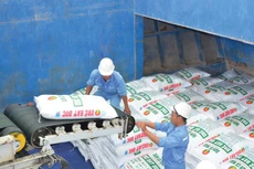 Đạm Cà Mau cung ứng 3 triệu sản phẩm ra thị trường