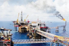 Hợp tác đầu tư Việt - Nga không còn bó hẹp trong lĩnh vực truyền thống dầu khí. Ảnh: Đức Thanh