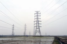 Đóng điện đường dây 220kV Thái Bình - Kim Động