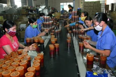 Gần 70% DNNVV phải sử dụng nguồn vốn tự có hoặc vay từ nguồn khác để phục vụ sản xuất, kinh doanh. Ảnh: Lê Gia Khoa