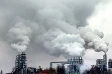 Ảnh chỉ mang tính minh họa. Nguồn Internet